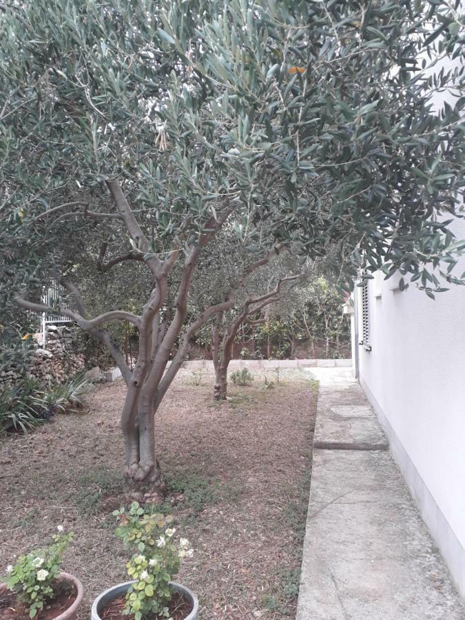 Apartments Boljat トロギール エクステリア 写真